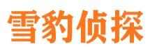 嘉黎外遇出轨调查取证